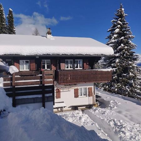 Chalet Grazia Riederalp Esterno foto