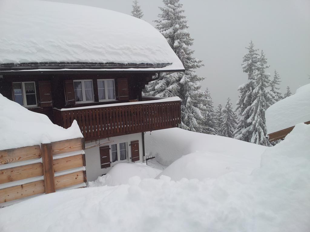 Chalet Grazia Riederalp Esterno foto