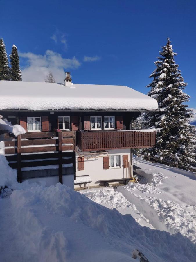 Chalet Grazia Riederalp Esterno foto